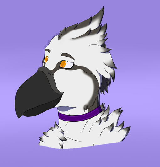 Hilda DnD PC head shot